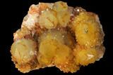Sunshine Cactus Quartz Crystal - South Africa #98378-2